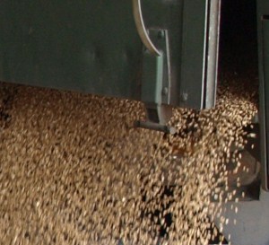 Einfuhrbeschränkungen Getreide