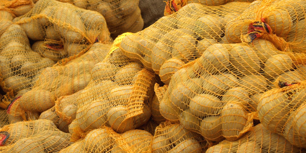 kartoffelhandel indien