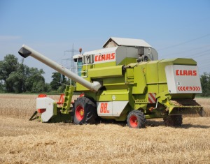 Getreideernte Polen