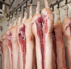 Schweinefleischerzeugung USA