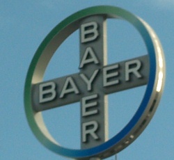 Bayer Geschftsbericht